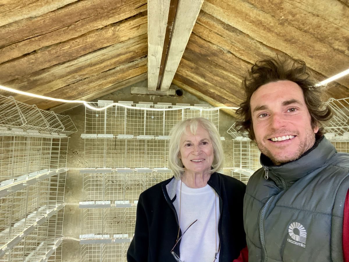 SUN AGAIN FARM MUSHROOM FARM