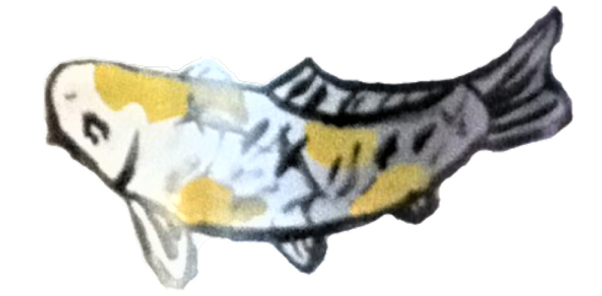 SUN AGAIN FARM MUSHROOM FARM