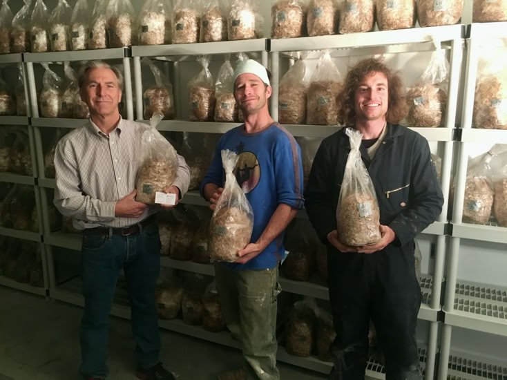 SUN AGAIN FARM MUSHROOM FARM