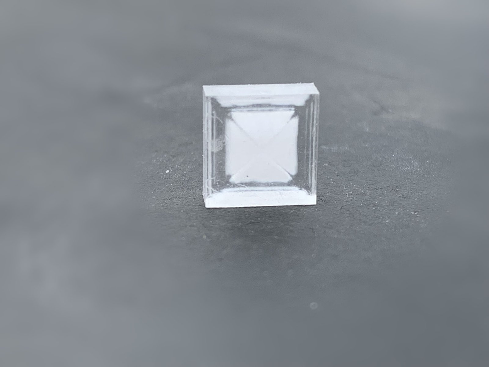 SUN AGAIN FARM MUSHROOM FARM