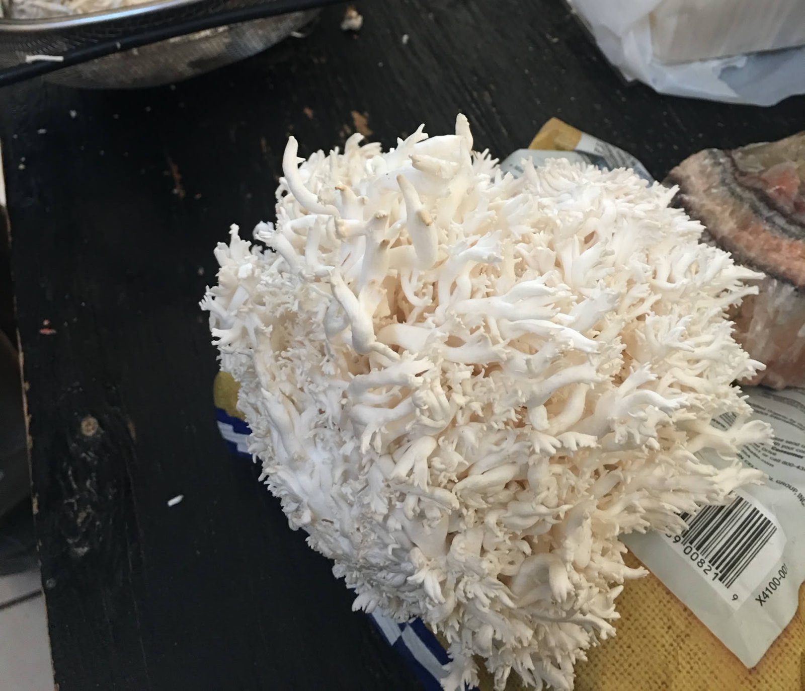coral